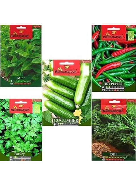 Premium Mix Vegetables and Herbs Seeds - Set of 5 Packets Mint | Dill | Cucumber | hot pepper | Parsely